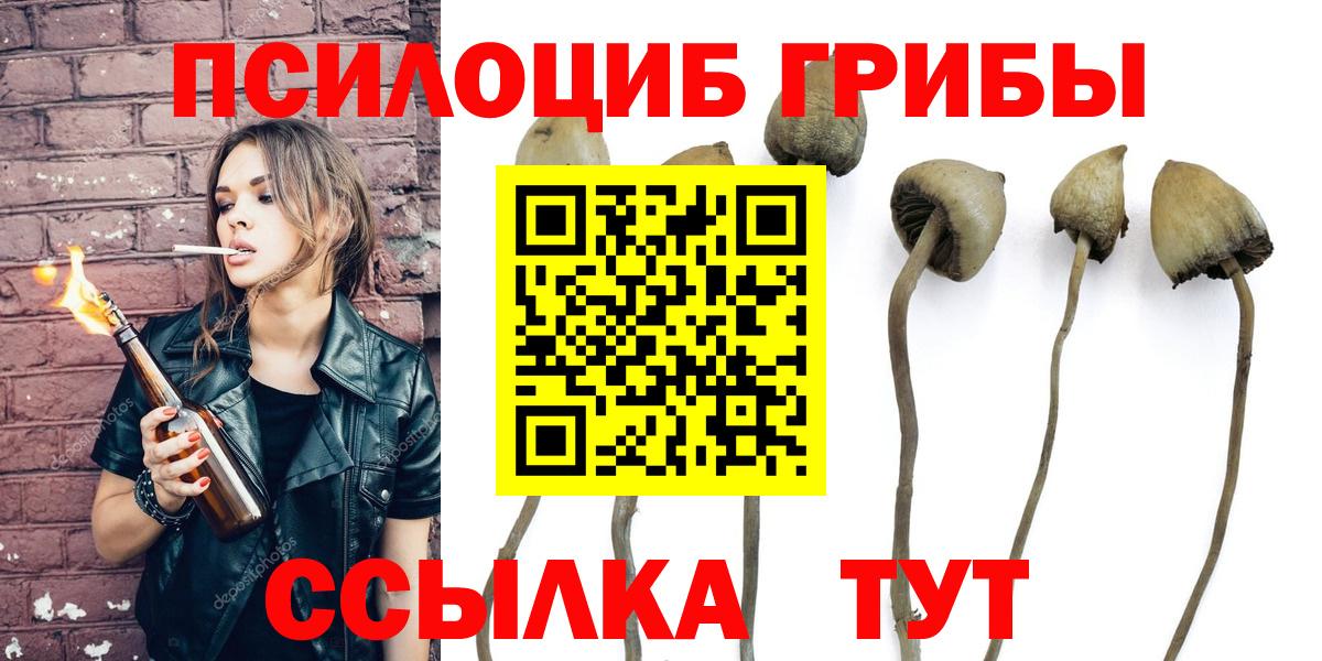 цена наркотик  Вход с VPN  Ефремов  Псилоцибиновые грибы мухоморы 